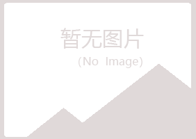 八公山区蓝天金属有限公司